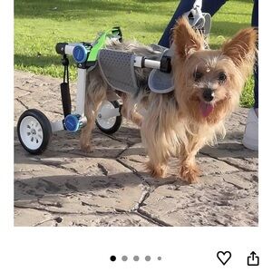 Adjustable Gray Dog Wheelchair
